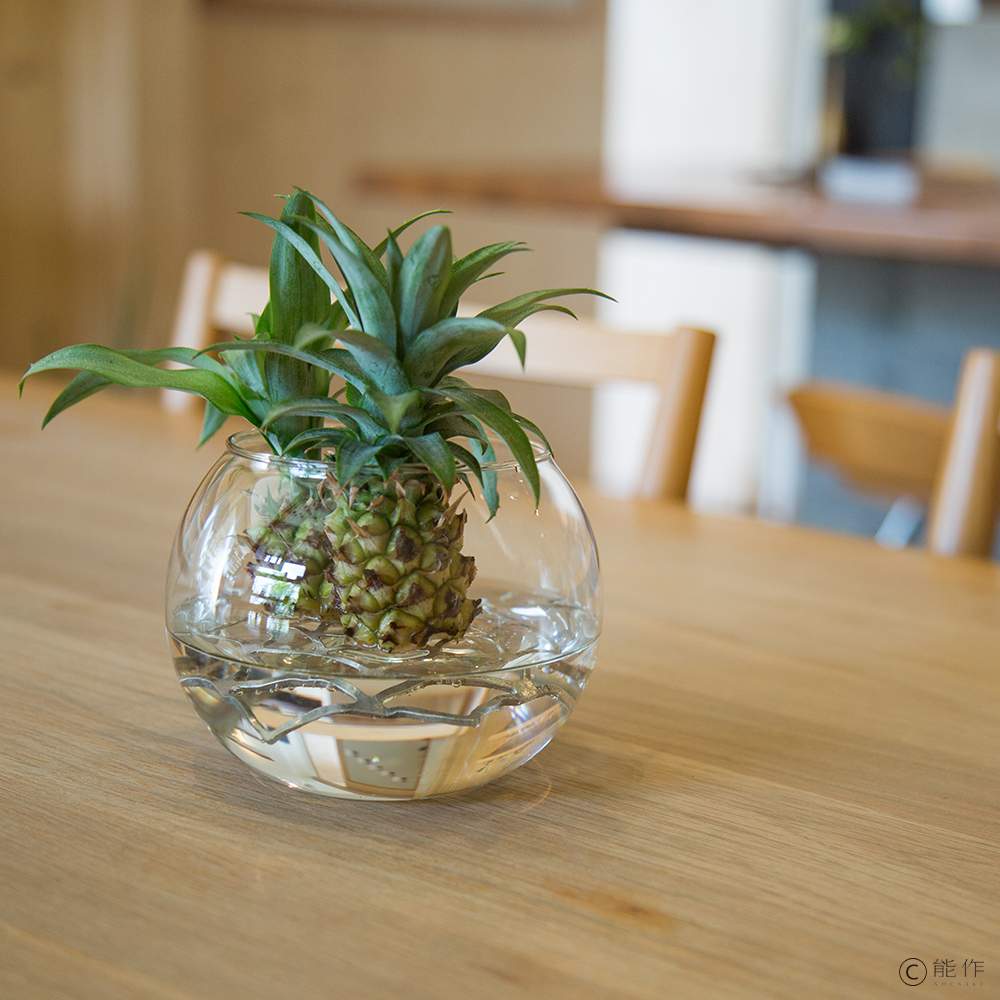 JIN-11205_Nousaku Foldable Rose Basket – S-5