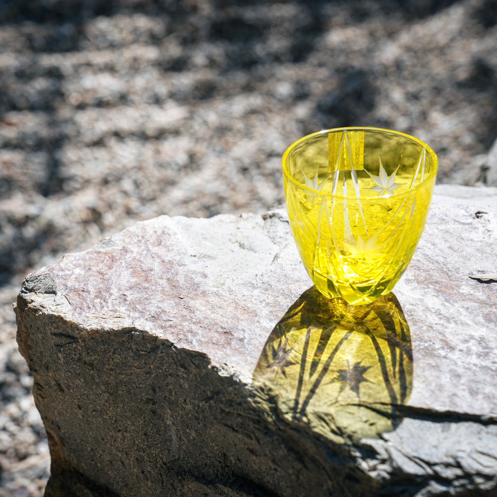 Edo-kiriko" Japanese maple" on the a rock at the Zen garden